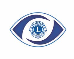 New California Lions Friends in Sight logo